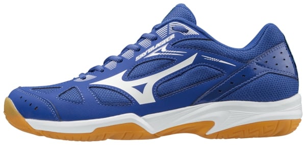 Hiện chi thiết của Giày cầu lông SKY BLASTER màu xanh