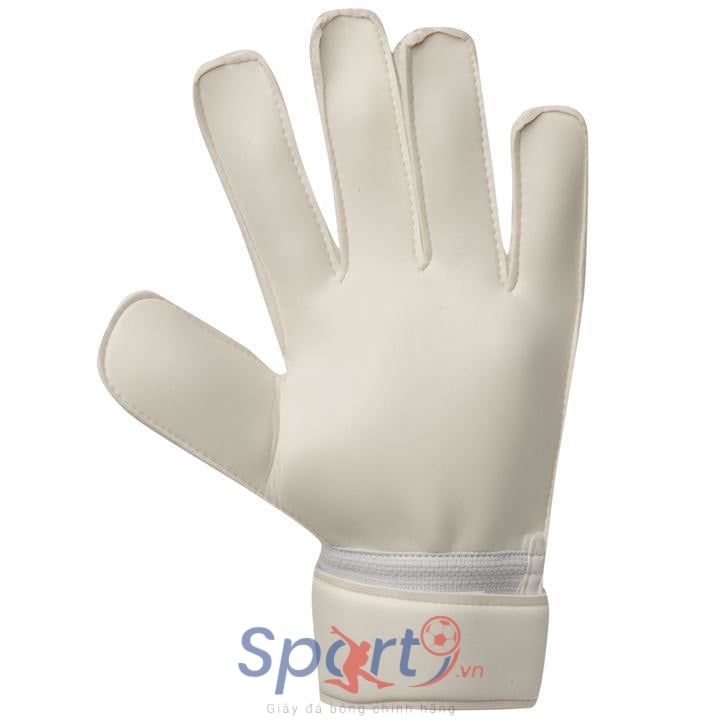 Hình ảnh của Găng tay thủ môn adidas Classic Training Goalkeeper Gloves