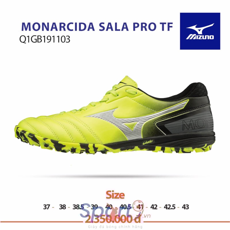 monarcida sala elite tf