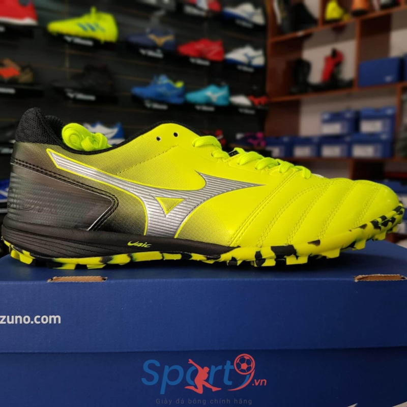 monarcida sala elite tf
