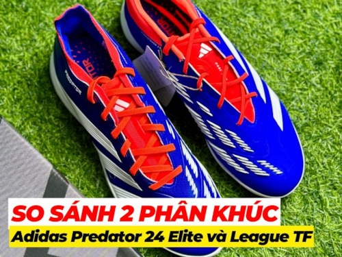 So sánh 2 phân khúc giày bóng đá adidas Predator 24 Elite và League TF