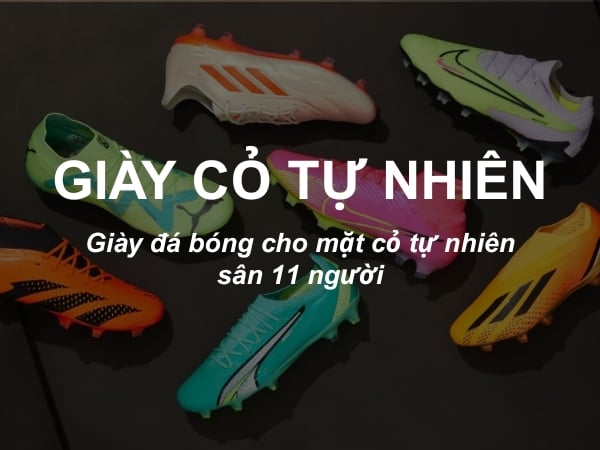 Giày đá bóng cỏ tự nhiên - đinh AG, FG, SG	