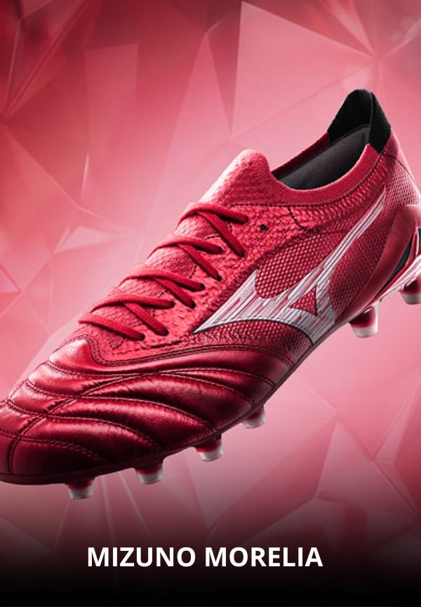 Mizuno morelia