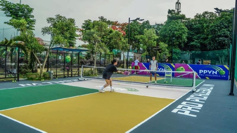 Sân Pickleball Pro Pickleball Vn
