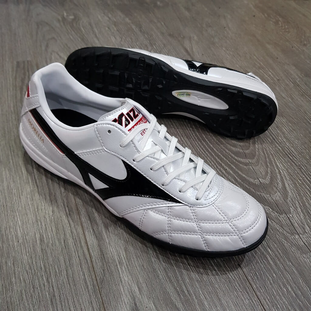 morelia tf