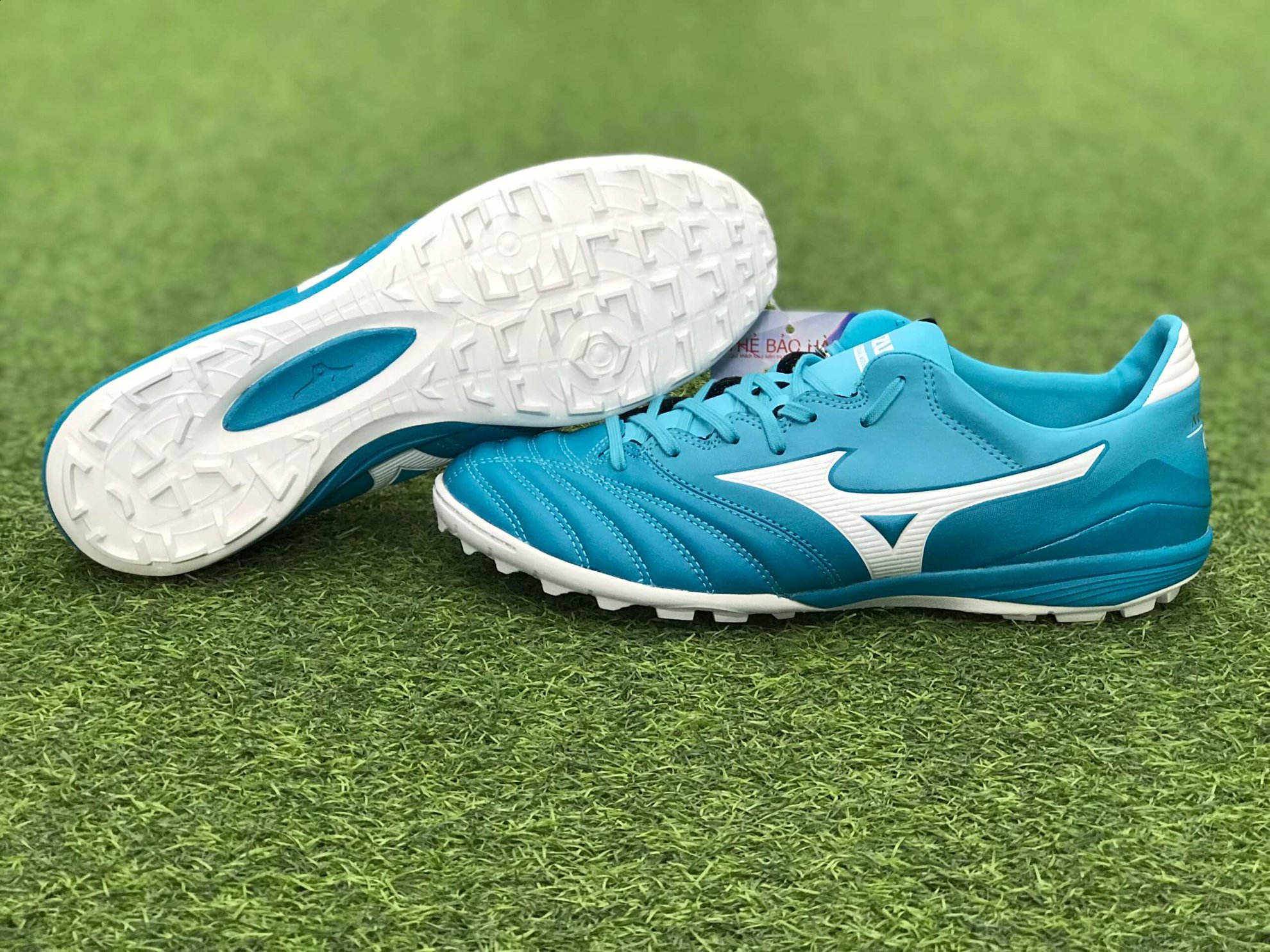 Mizuno Morelia Neo Kl II AS màu xanh ngọc