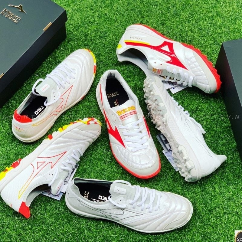 Giai đoạn từ năm 1980 đến 1999 