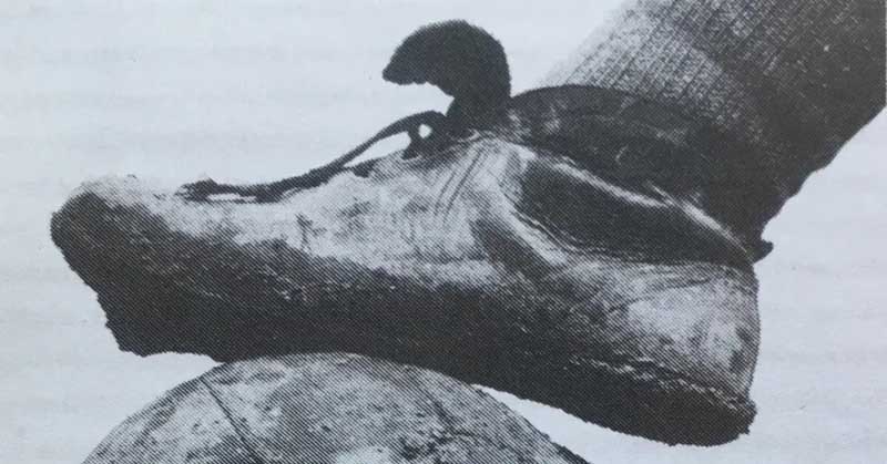 Lịch sử phát triển của giày bóng đá thế giới
