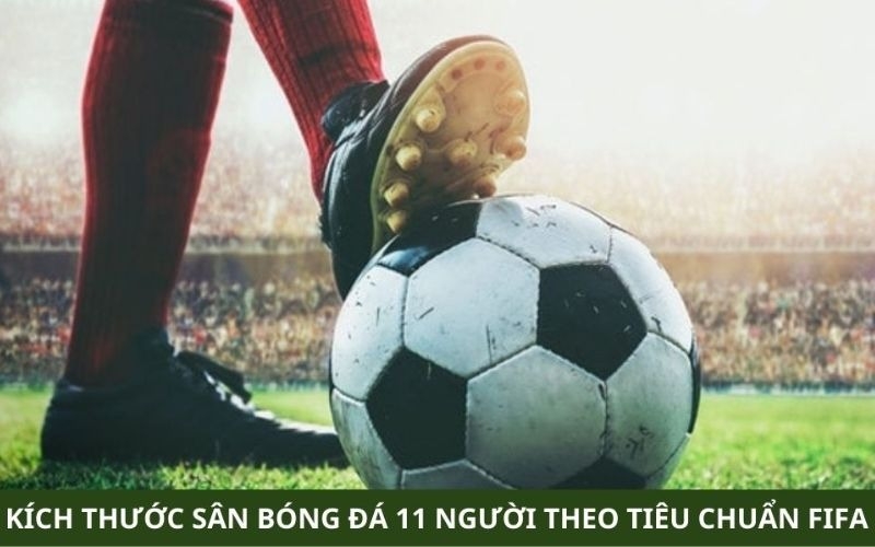 Sân bóng đá 11 người tiêu chuẩn FIFA có kích thước bao nhiêu?